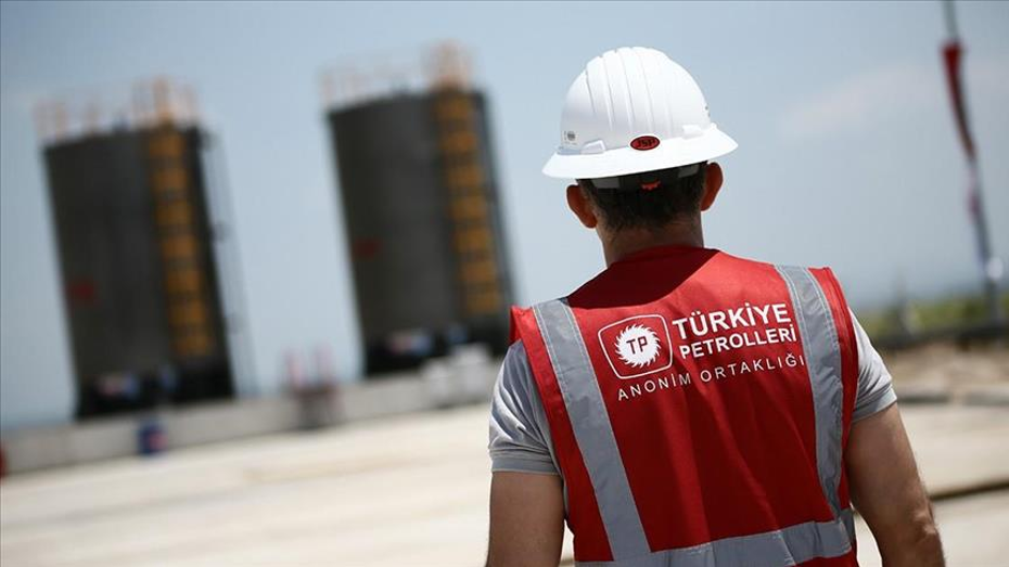 Türkiye Enerji Ortaklığı