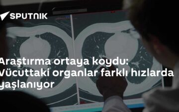 organ yaşlanma