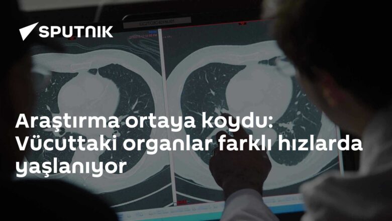 organ yaşlanma