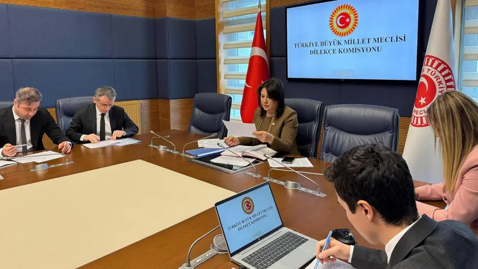 Dilekçe Talepleri