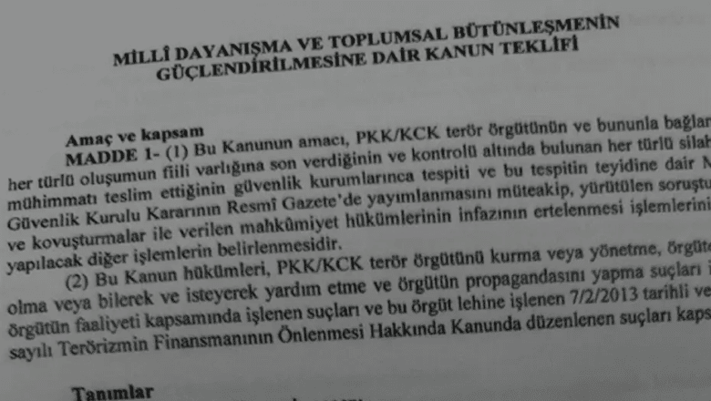Çerçeve Yasa