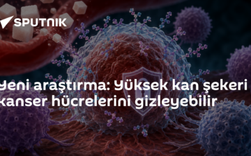 kan şekeri